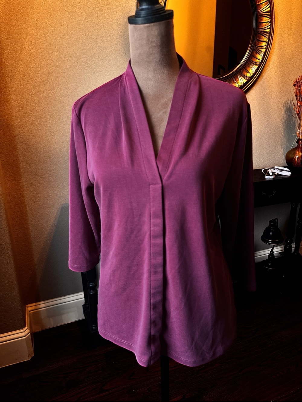 Women's Plum V-Neck Modal Top Petite Small